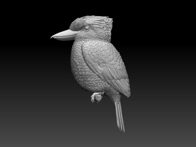 Blue Winged Kookaburra 3D Print 510194