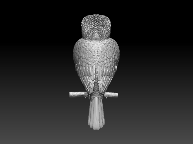 Blue Winged Kookaburra 3D Print 510195