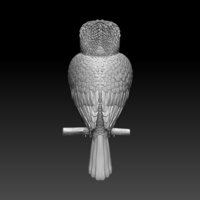 Blue Winged Kookaburra - Thumbnail 4