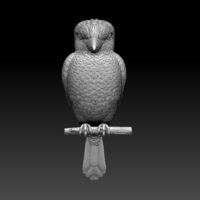 Blue Winged Kookaburra - Thumbnail 7