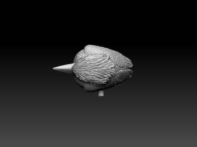 Blue Winged Kookaburra 3D Print 510199