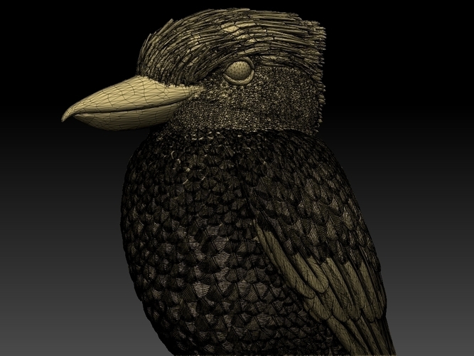 Blue Winged Kookaburra 3D Print 510200