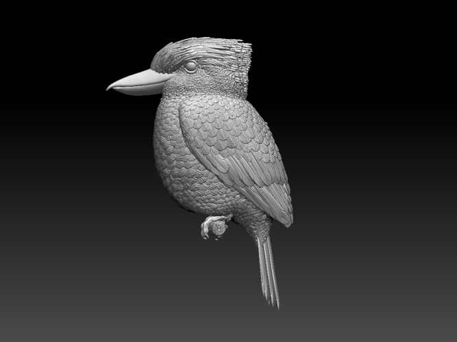 Blue Winged Kookaburra 3D Print 510201