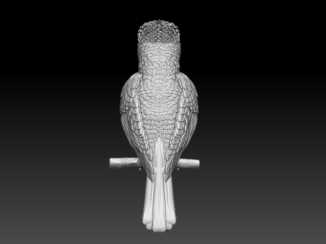 jay 3D Print 510208