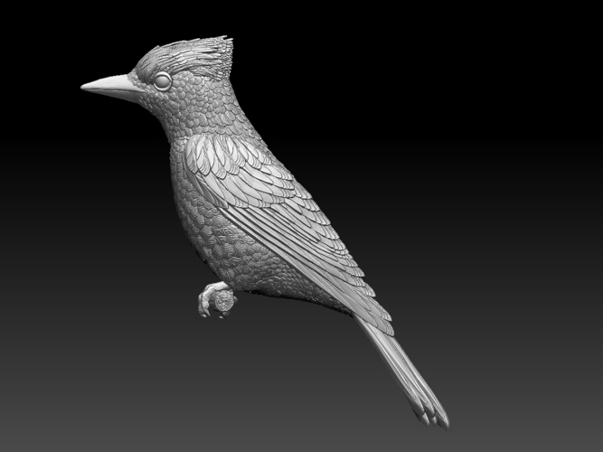 jay 3D Print 510209