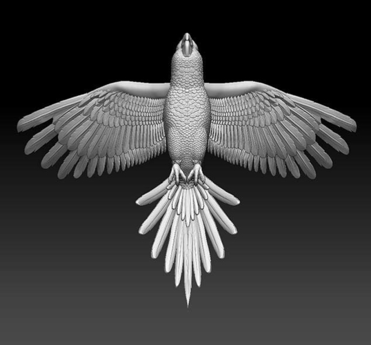 parrot 3D Print 510213