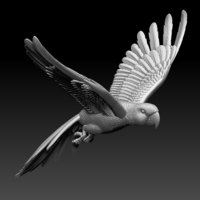 parrot - Thumbnail 3