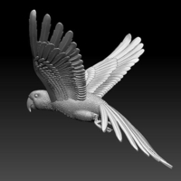 parrot - Thumbnail 4