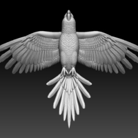 parrot - Thumbnail 5