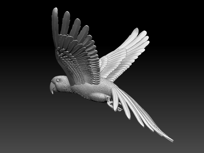 parrot 3D Print 510219