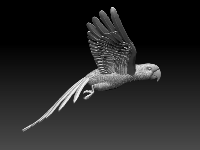 parrot 3D Print 510220