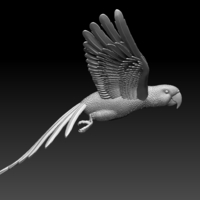 parrot - Thumbnail 8