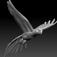 parrot - Thumbnail 9