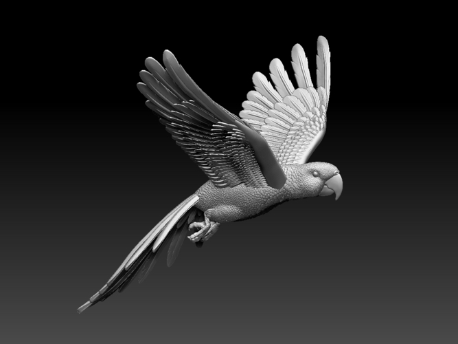 parrot 3D Print 510222