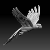 Small parrot 3D Printing 510222