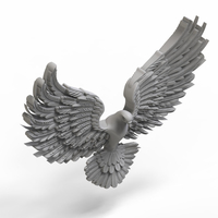 pigeon - Thumbnail 7