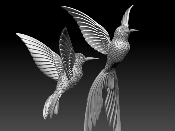 colibri humming bird 3D Print 510230