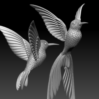 colibri humming bird - Thumbnail 1