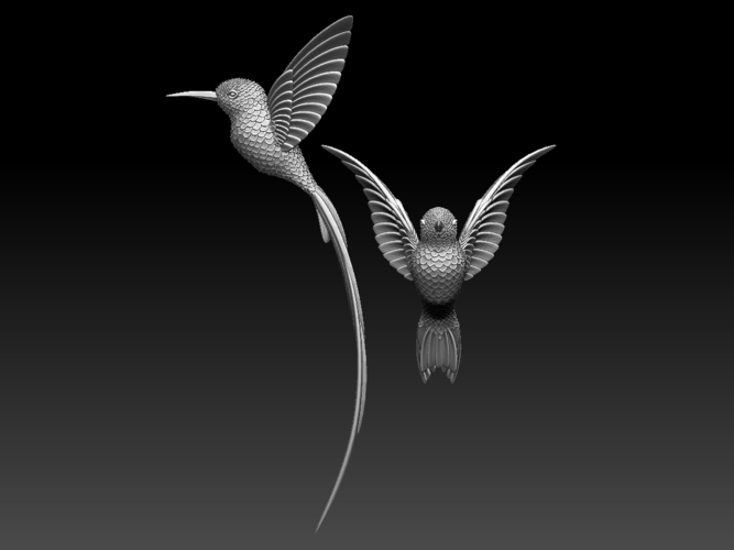 colibri humming bird 3D Print 510231