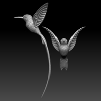 colibri humming bird - Thumbnail 2
