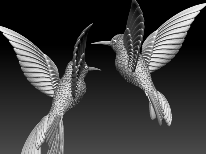 colibri humming bird 3D Print 510232