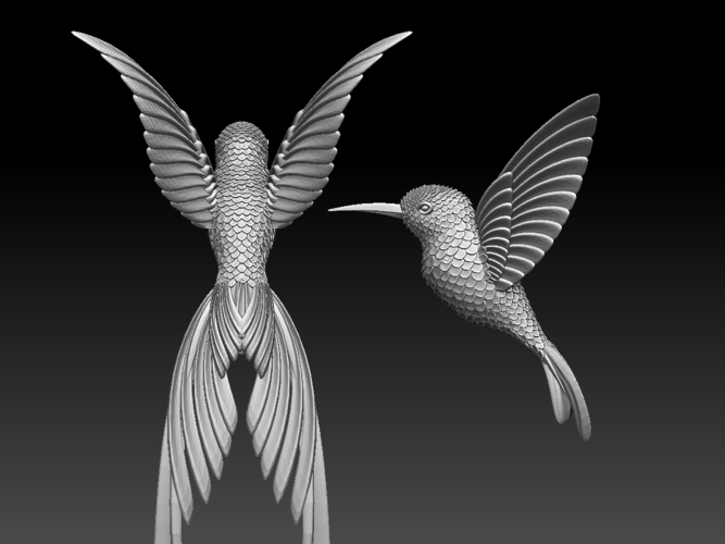 colibri humming bird 3D Print 510233