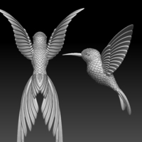 colibri humming bird - Thumbnail 4