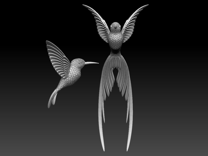 colibri humming bird 3D Print 510234