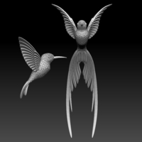 colibri humming bird - Thumbnail 5