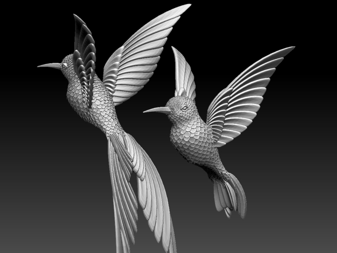 colibri humming bird 3D Print 510235