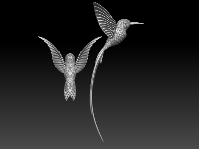 colibri humming bird 3D Print 510236