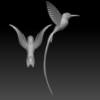 colibri humming bird - Thumbnail 7