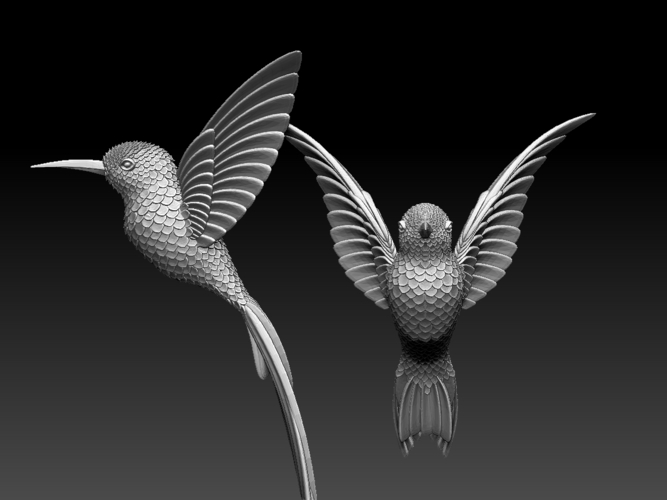 colibri humming bird 3D Print 510237