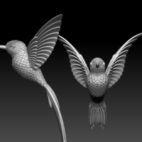 colibri humming bird - Thumbnail 8