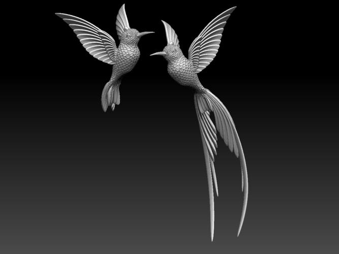 colibri humming bird 3D Print 510238