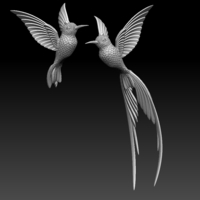 Small colibri humming bird 3D Printing 510238