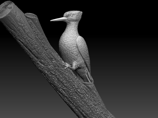 woodpecker 3D Print 510239