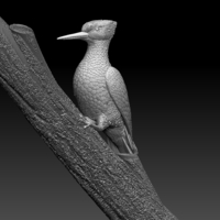 woodpecker - Thumbnail 1