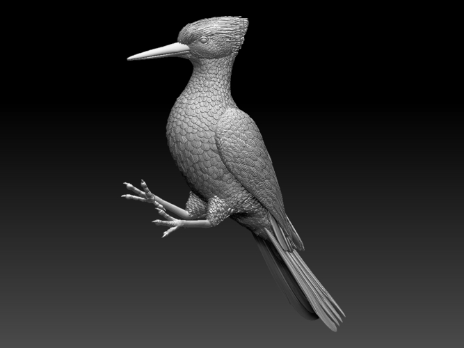 woodpecker 3D Print 510240