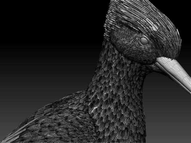 woodpecker 3D Print 510241