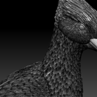 woodpecker - Thumbnail 3