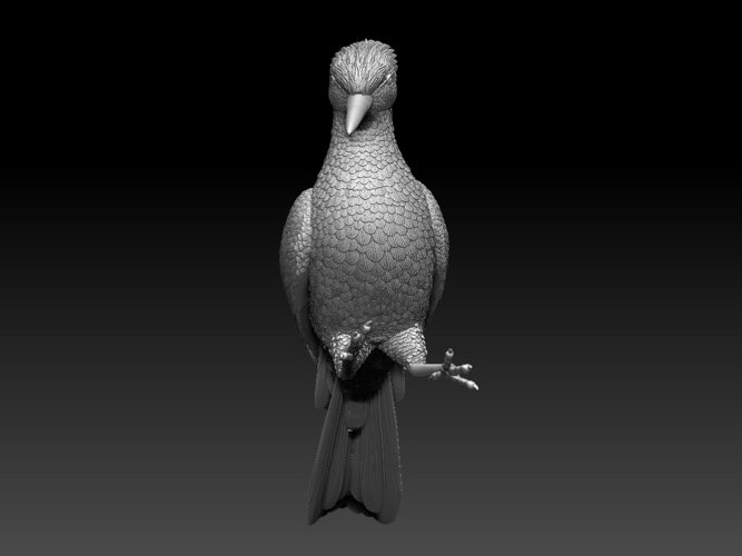 woodpecker 3D Print 510242