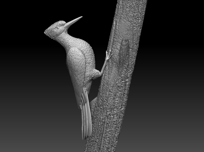 woodpecker 3D Print 510243