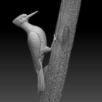 Small woodpecker 3D Printing 510243