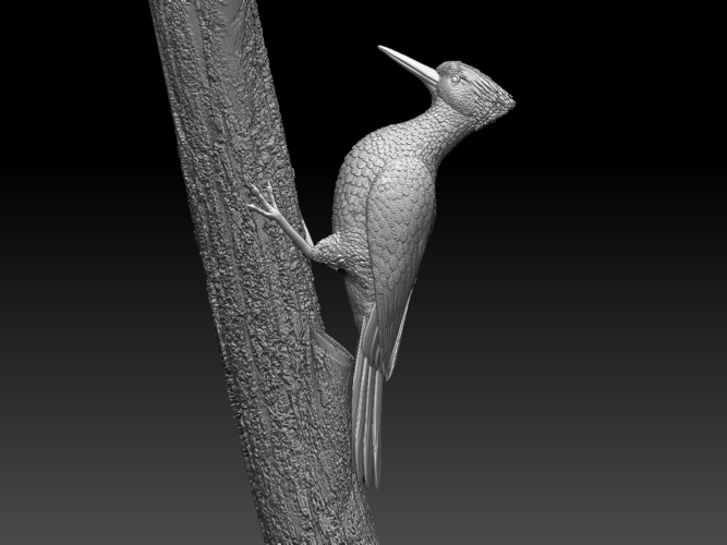 woodpecker 3D Print 510244