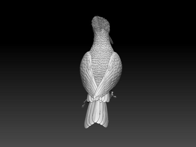 woodpecker 3D Print 510246