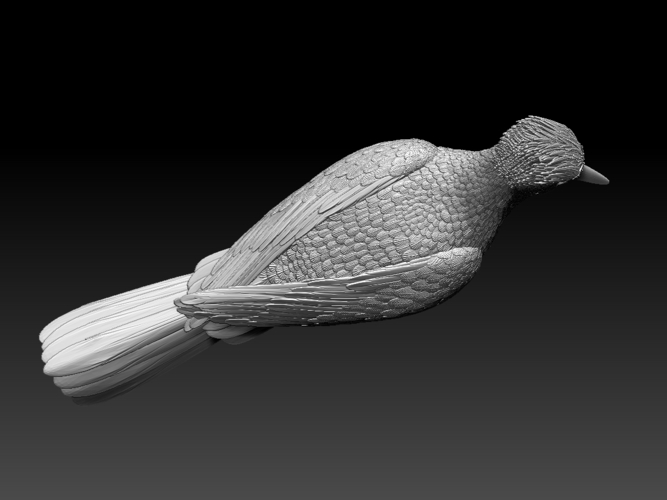 woodpecker 3D Print 510247