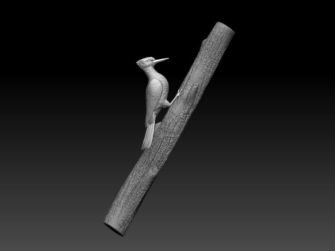 woodpecker 3D Print 510248