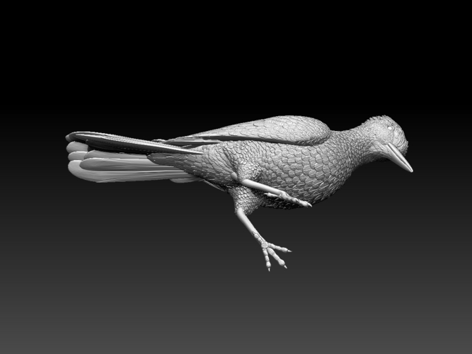 woodpecker 3D Print 510249