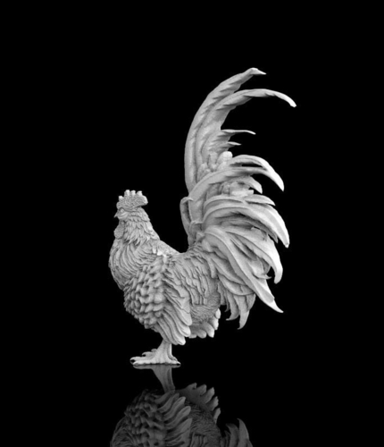 rooster 3D Print 510251